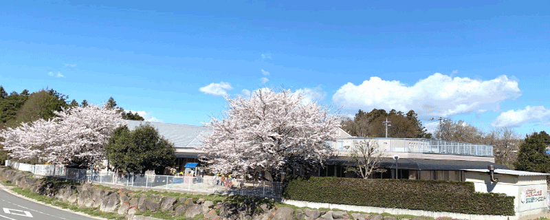 一日の生活