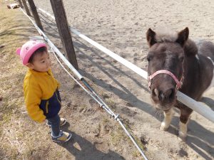 前橋こども園保育園散歩